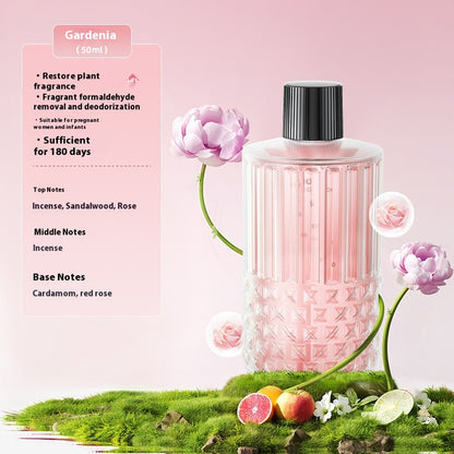 Smart Aroma Diffuser: Automatic Essential Oil Aerosol Dispenser & Expansion